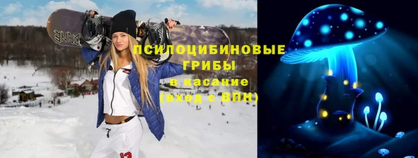 первитин Алексин