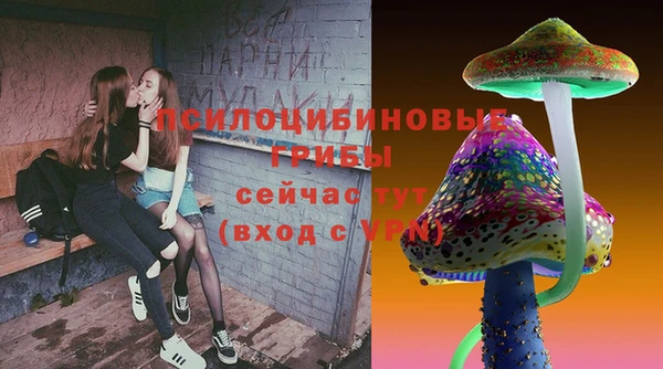 первитин Алексин