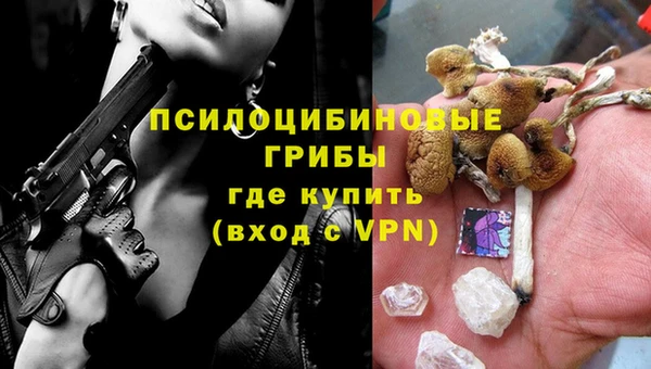 ПСИЛОЦИБИНОВЫЕ ГРИБЫ Алексеевка