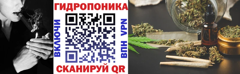 как найти наркотики Катав-Ивановск Шишки марихуана сатива